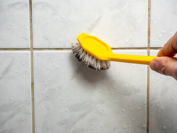 Best Black Mold Removal  in Harper, TX