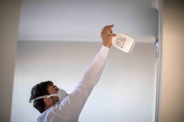 Reliable Harper, TX Mold Removal Solutions