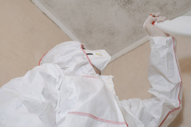 Best Toxic Mold Removal  in Harper, TX